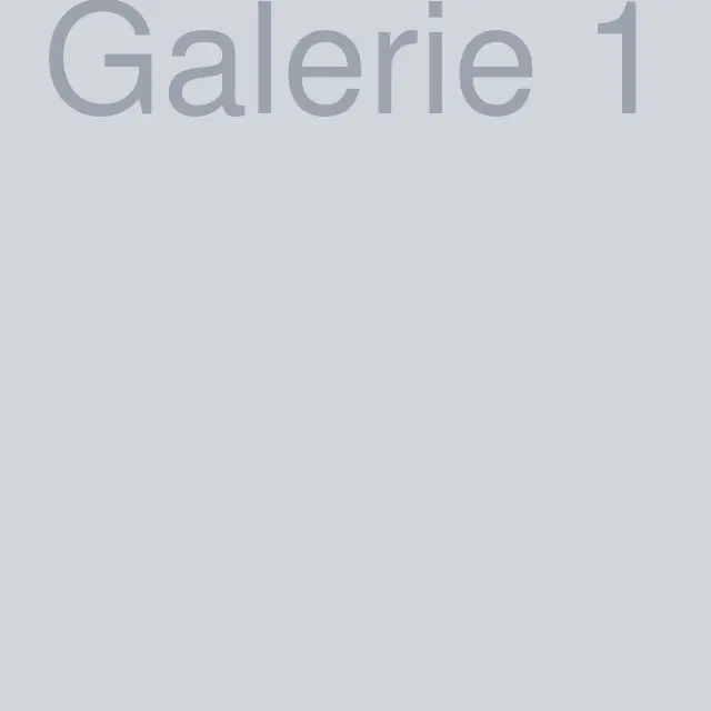 Galerie foto 1