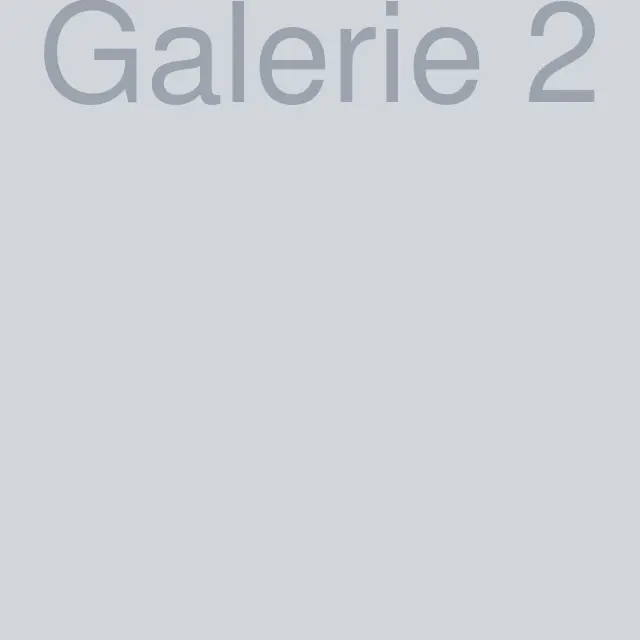 Galerie foto 2