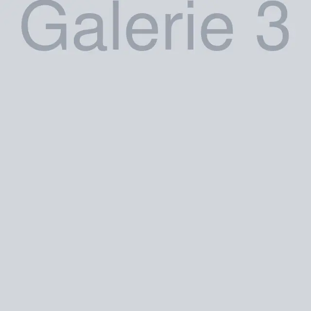 Galerie foto 3