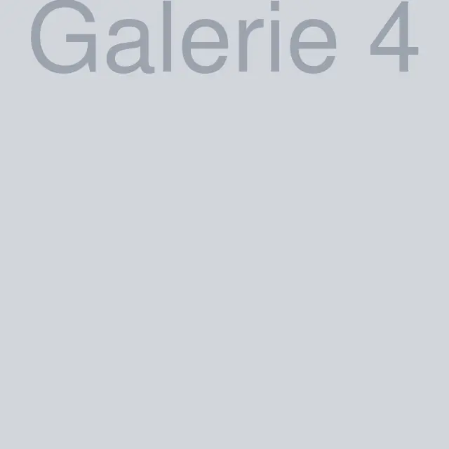 Galerie foto 4