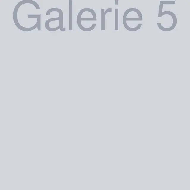 Galerie foto 5