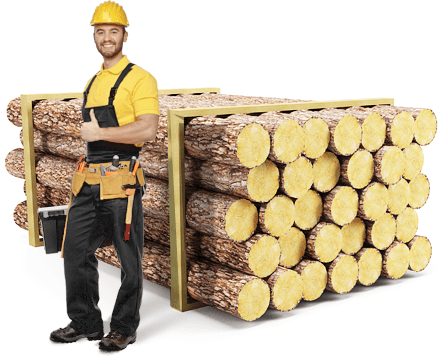 Constructor profesionist Bucovina SIP